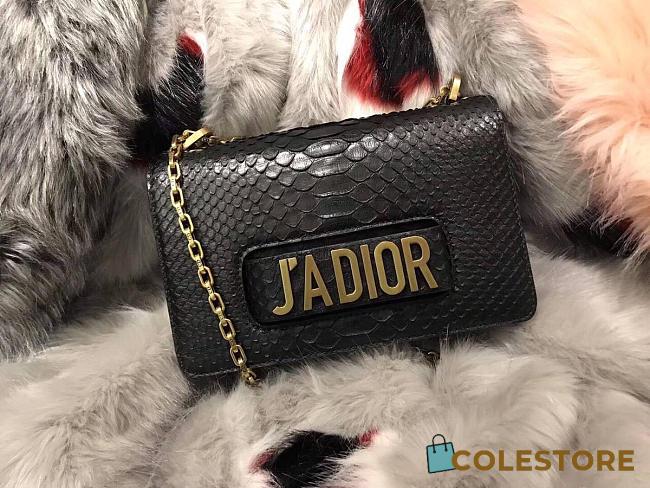 Dior Jadior 1823 - 1