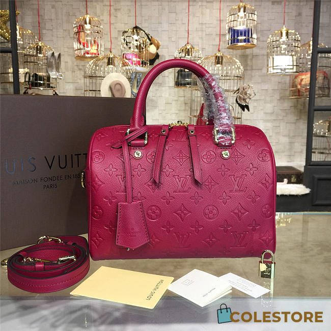 Louis Vuitton Speedy Bandoulière 25 3230 - 1