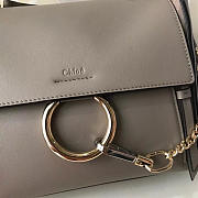 chloe cortex faye bay z1247 CohotBag  - 2
