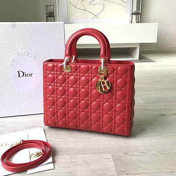 CohotBag lady dior 1565