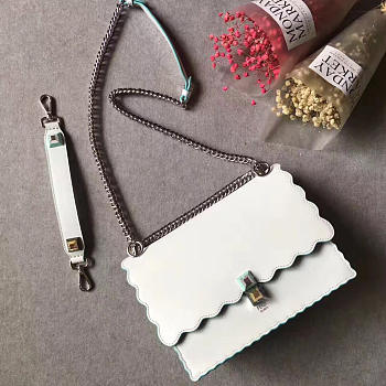 CohotBag fendi kani 1920