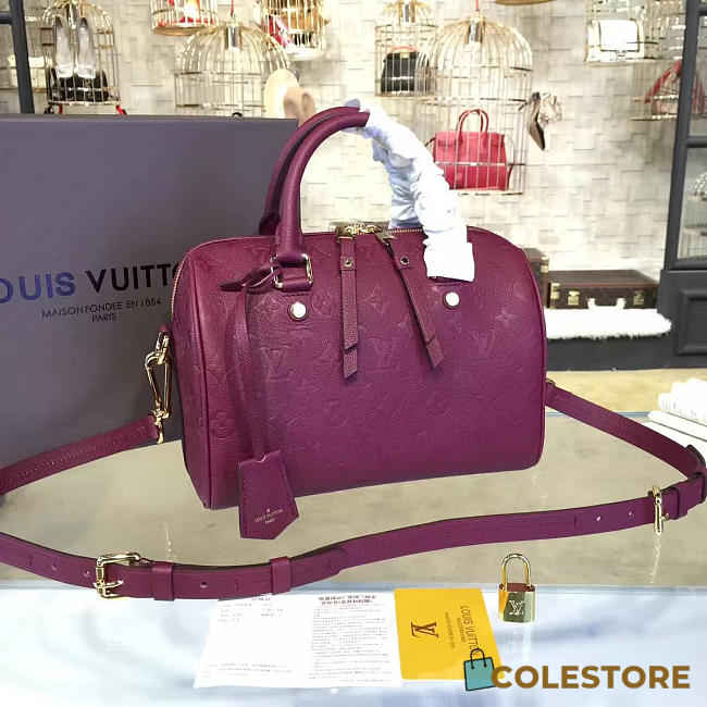 Louis Vuitton Speedy Bandoulière 25 3213 - 1