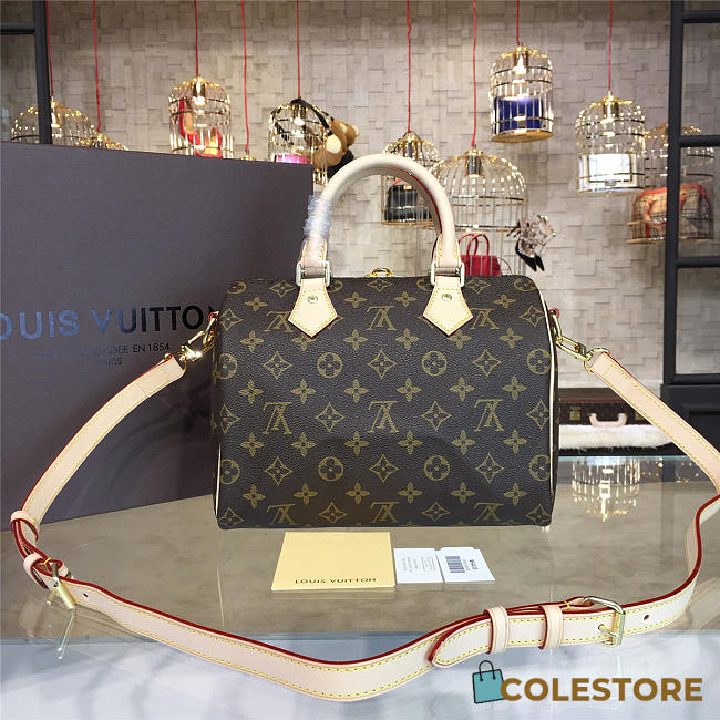 Louis Vuitton Bandouliere Speedy 25 x 19 x 15 cm - 1