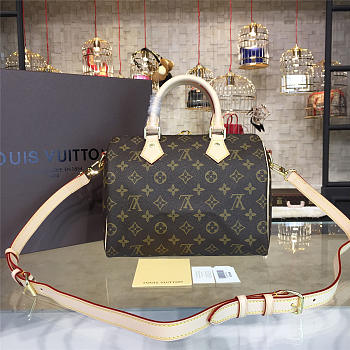 Louis Vuitton Bandouliere Speedy 25 x 19 x 15 cm