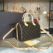 Louis Vuitton Bandouliere Speedy 25 x 19 x 15 cm - 5