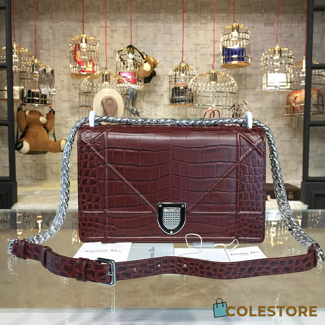 CohotBag dior ama 1735 - 1