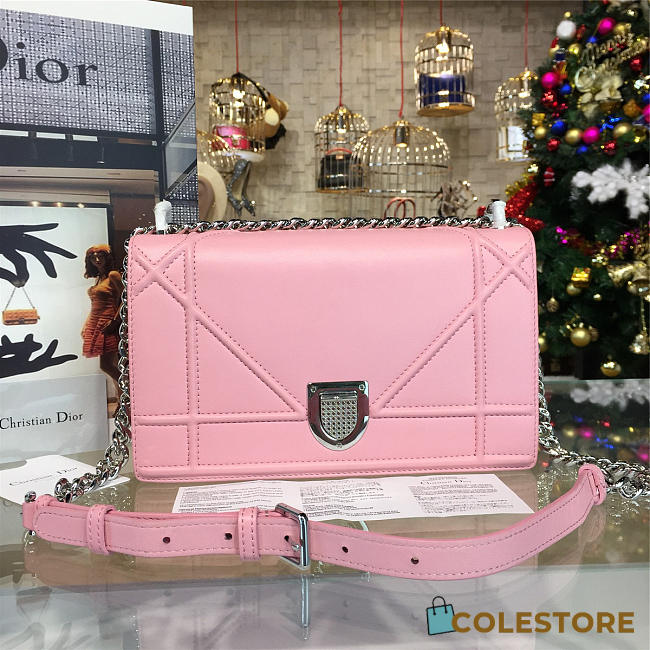CohotBag dior ama 1739 - 1