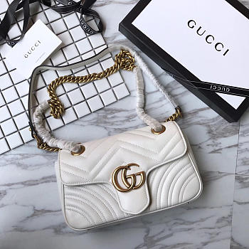 gucci gg cortex marmont CohotBag 2255
