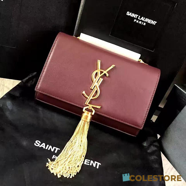 YSL Monogram Kate Bag With Leather Tassel 4975 - 1