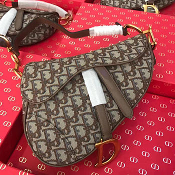 Dior Women Saddle Bag In Brown Canvas M0446