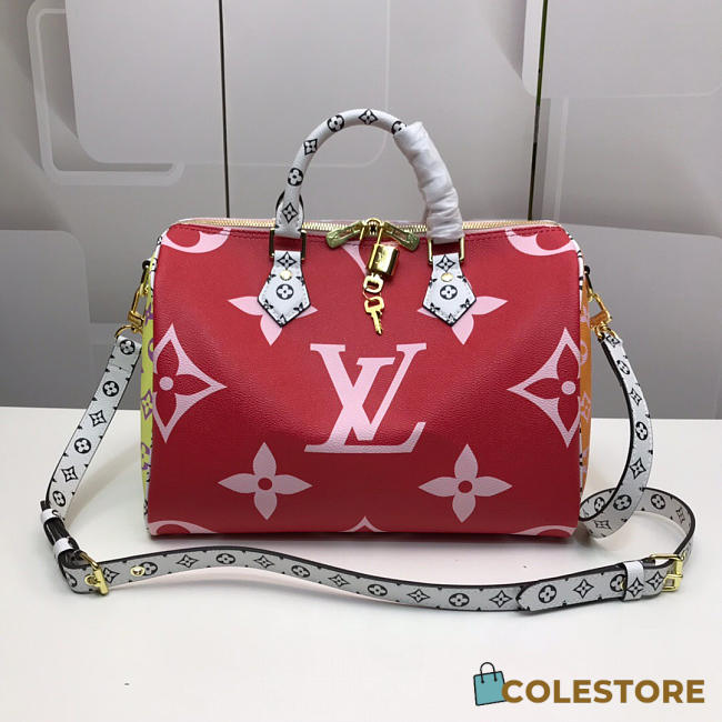 Louis Vuitton Top Original Single Speedy Red Spell - 1