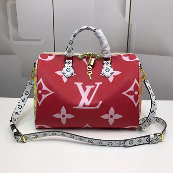 Louis Vuitton Top Original Single Speedy Red Spell
