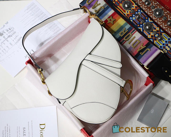 Dior Saddle Bag White - 1