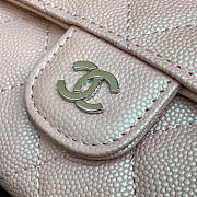 Chanel Classic Cf Long Lychee Purse Powder - 5