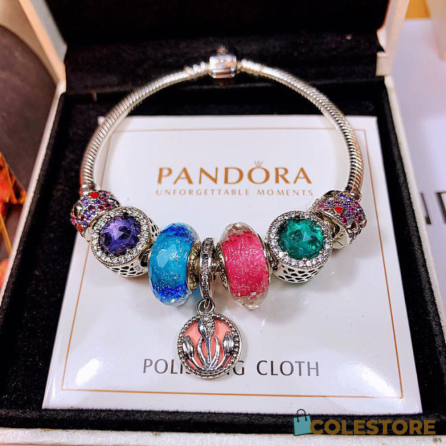 Pandora Bracelet 201 - 1