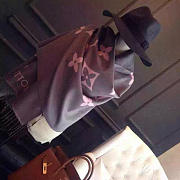 Louis Vuitton Scarf Grey - 2