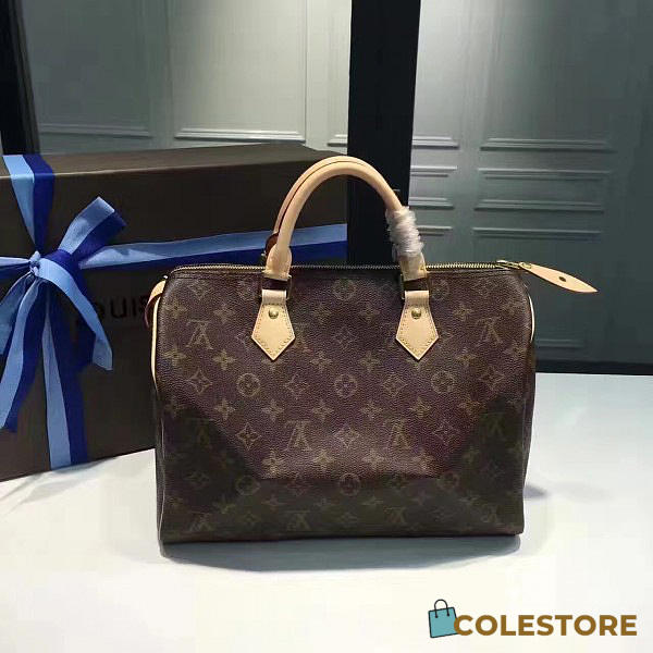 Louis Vuitton Speedy 30 Monogram Canvas 3104 - 1