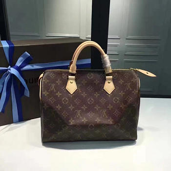 Louis Vuitton Speedy 30 Monogram Canvas 3104