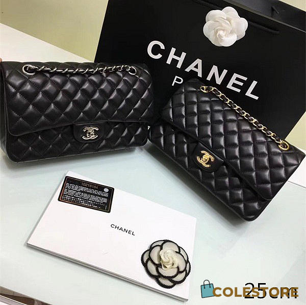 Chanel Lambskin Leather Flap Bag Gold/Silver Metal Black 25cm - 1