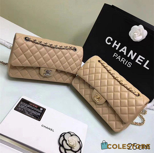 Chanel Lambskin Leather Flap Bag Gold/Silver Beige 25cm - 1