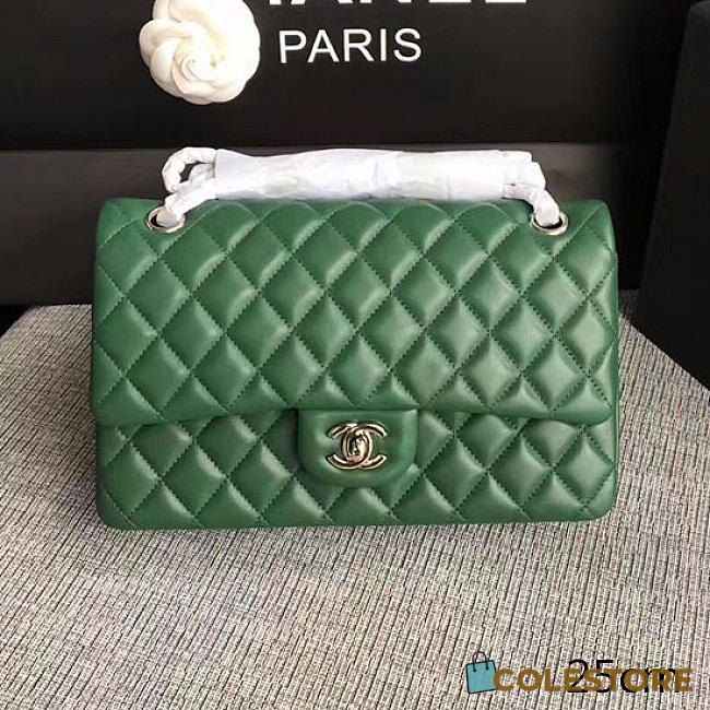 Chanel Lambskin Classic Handbag Green A01112  - 1