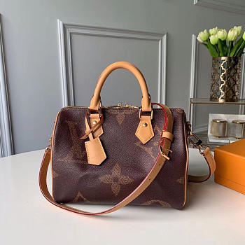 CohotBag louis vuitton classic print m44602