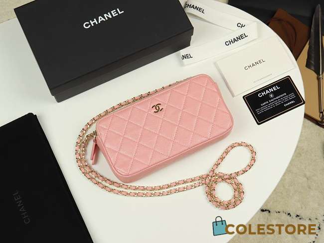 Chanel 2019 New Chain Bag  - 1