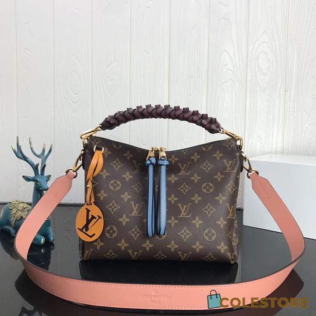 Louis Vuitton Bag  - 1