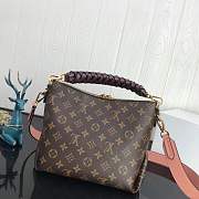 Louis Vuitton Bag  - 4