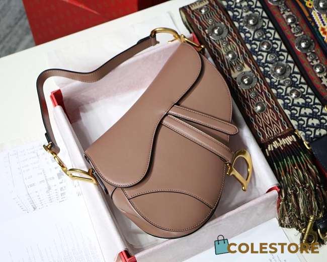 Dior Saddle Bag - 1