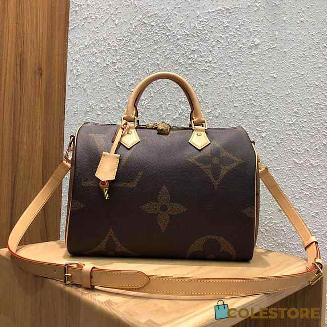 Louis Vuitton Speedy 30 M44602 - 1