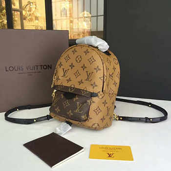 Louis Vuitton Palm Springs Backpack Mini Monogram Canvas Reverse