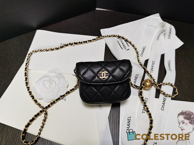 Chanel Waist 20s Collection - 1