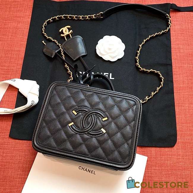 Chanel Chain Camera Bag Black 17cm-21cm - 1