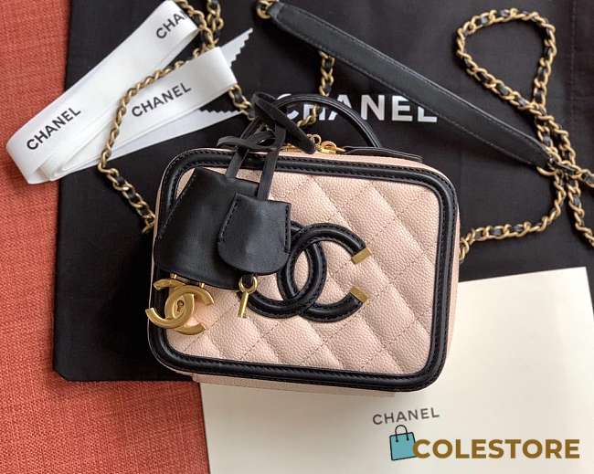 Chanel Chain Camera Bag Size 17cm/21cm - 1