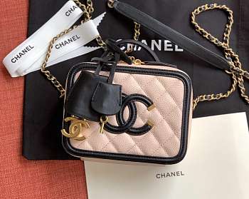 Chanel Chain Camera Bag Size 17cm/21cm