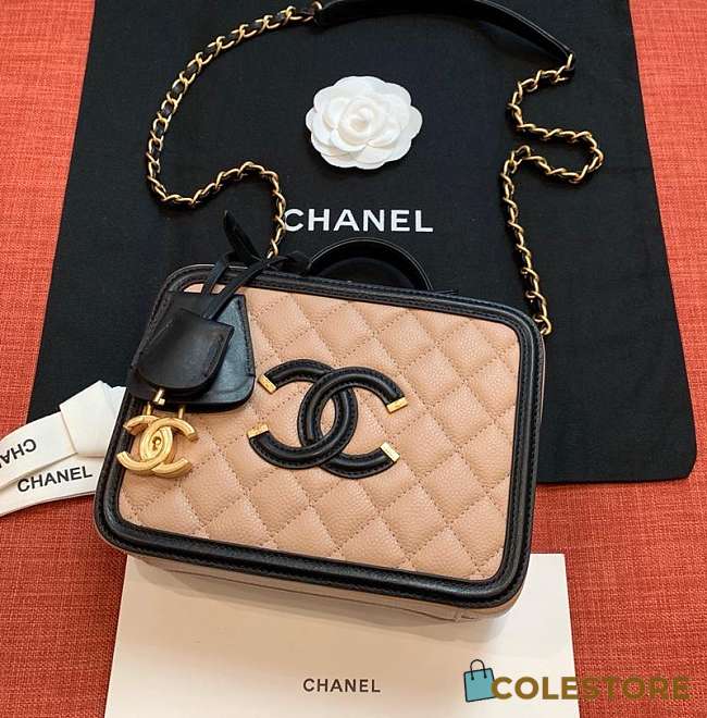 Chanel Chain Camera Bag  - 1