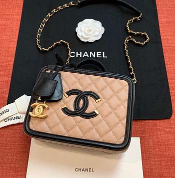Chanel Chain Camera Bag 