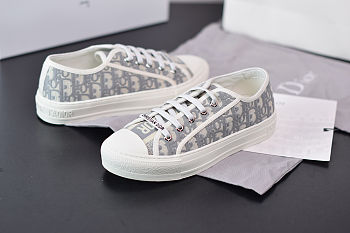 Dior Low Sneaker