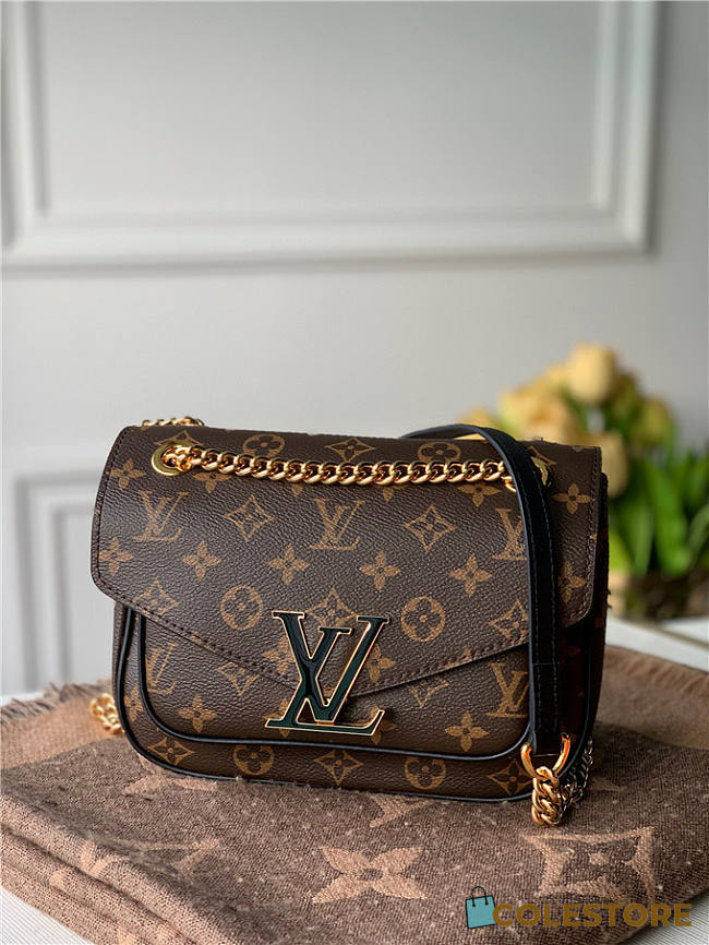 Louis Vuitton Neo Monceau Bag  - 1