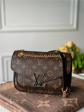 Louis Vuitton Neo Monceau Bag 
