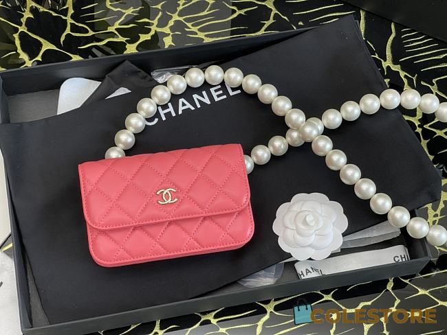 2020 autumn and winter new pearl shoulder strap chest bag - 1