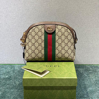 Guci Ophidia GG small shoulder bag_499621_23.5x19x8cm780680