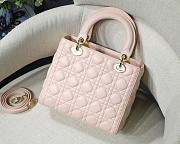 MediumLady Dior BAG Dusty Pink Cannage Lambskin M0565 Size 24cm - 4