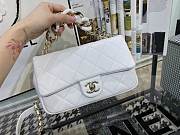 Chanel Mini Flap With Grained Calfskin & Gold-Tone Metal White AS1353  Size: 16x24x6cm - 6
