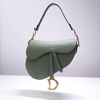 Dior Saddle Bag Latte Grained Calfskin In Green Size25.5x20x6.5 cm