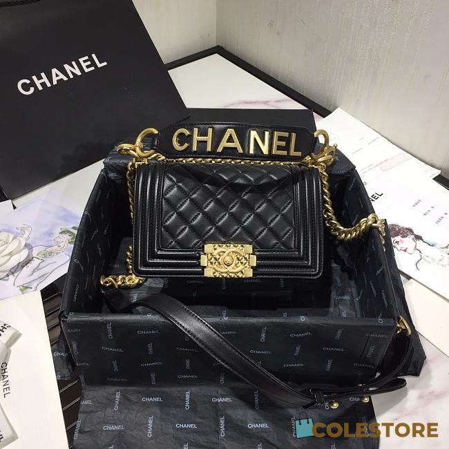 Chanel Leboy 2020 Hanbag Size 20cm - 1