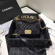 Chanel Leboy 2020 Hanbag Size 20cm - 1