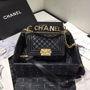 Chanel Leboy 2020 Hanbag Size 20cm