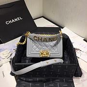 Chanel Leboy 2020 In Grey Size 20cm - 1